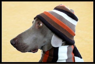 All wrapped up......!